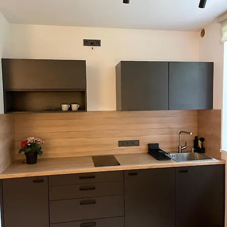 A Cozy In A Quiet Courtyard For A Quiet Stay, Not For Entertainment * Riga