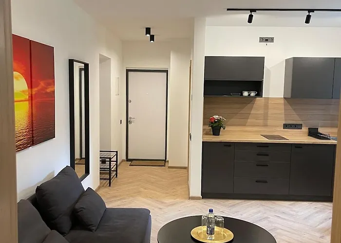 A Cozy In A Quiet Courtyard For A Quiet Stay, Not For Entertainment Apartment Riga